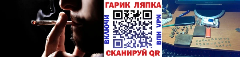 где найти   Грязовец  kraken как войти  ГАШ Изолятор 